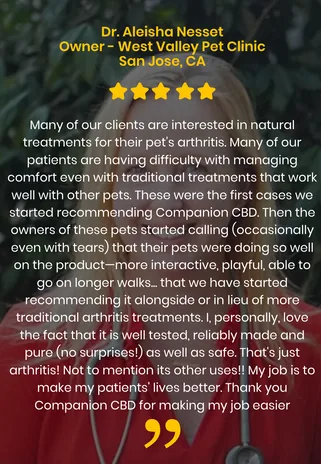 Dr. Rachel — 5-star review from a practicing veterinarian recommending CompanionCBD